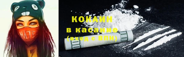 кокс Алексин