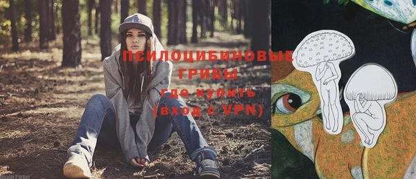 спиды Алзамай